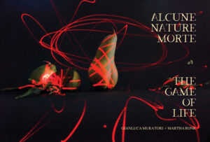 Alcune Nature Morte or The Game of Life by Gianluca Muratori & Martha Ronk